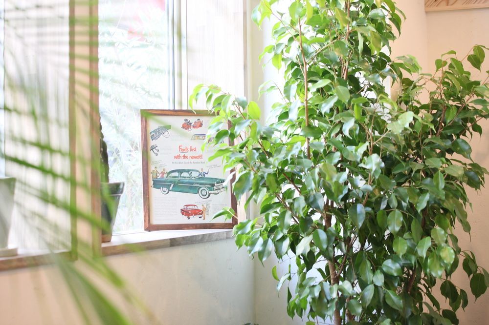 North Front Hostel Fukuchiyama Εξωτερικό φωτογραφία